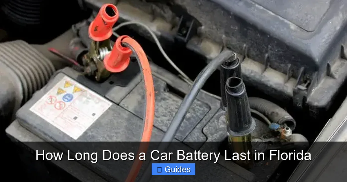 How Long Does a Car Battery Last in Florida