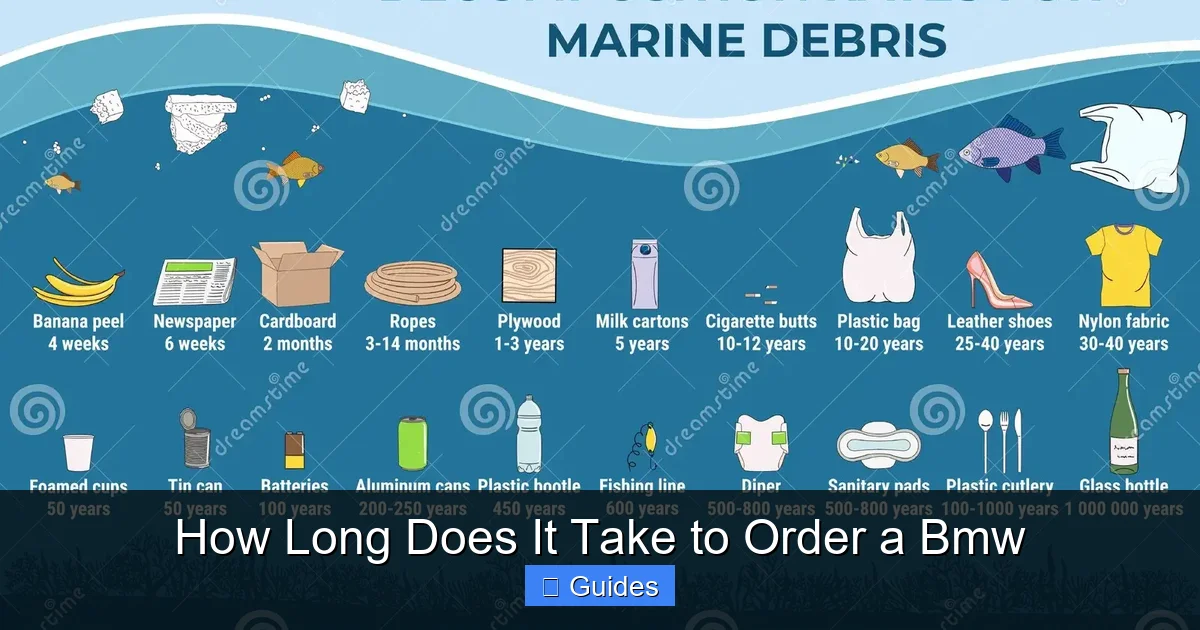 How Long Does It Take to Order a Bmw