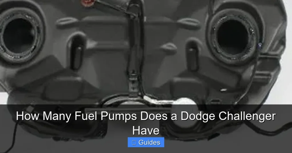 How Many Fuel Pumps Does a Dodge Challenger Have