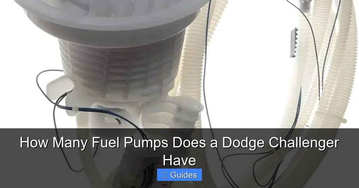 How Many Fuel Pumps Does a Dodge Challenger Have