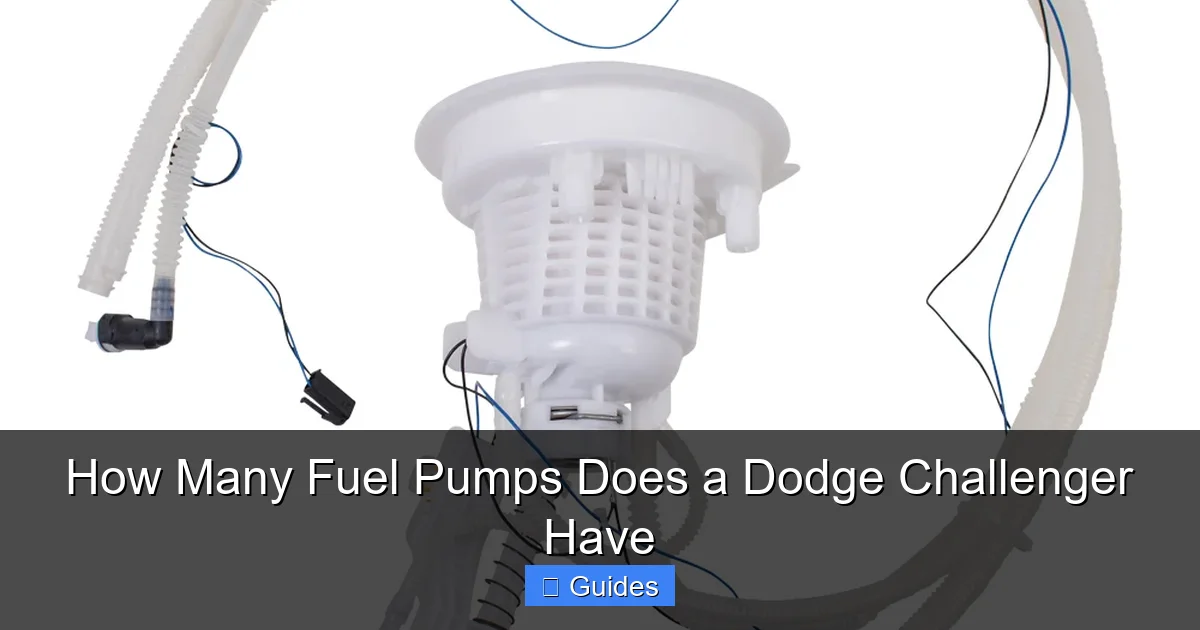 How Many Fuel Pumps Does a Dodge Challenger Have