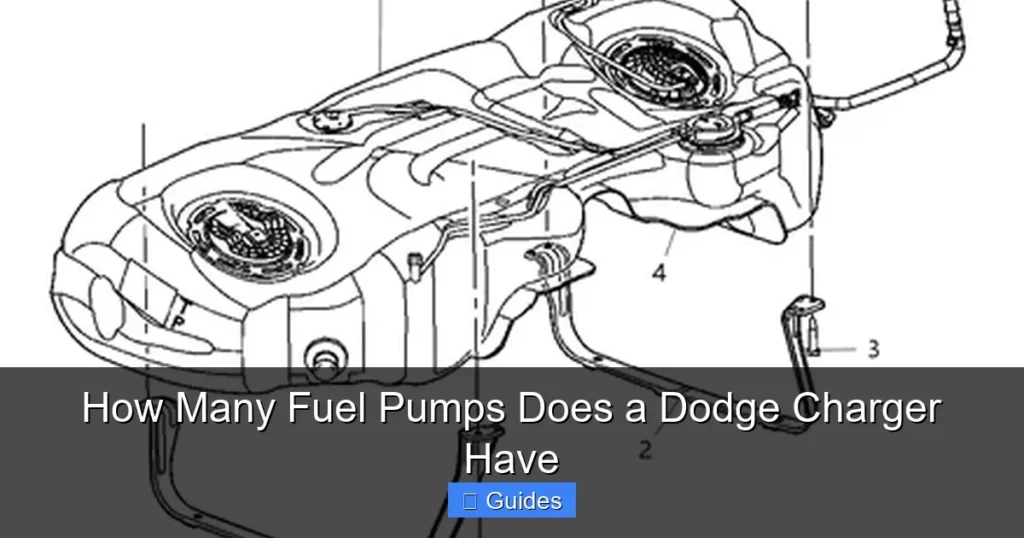 How Many Fuel Pumps Does a Dodge Charger Have