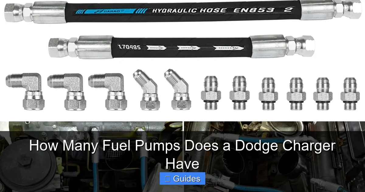 How Many Fuel Pumps Does a Dodge Charger Have