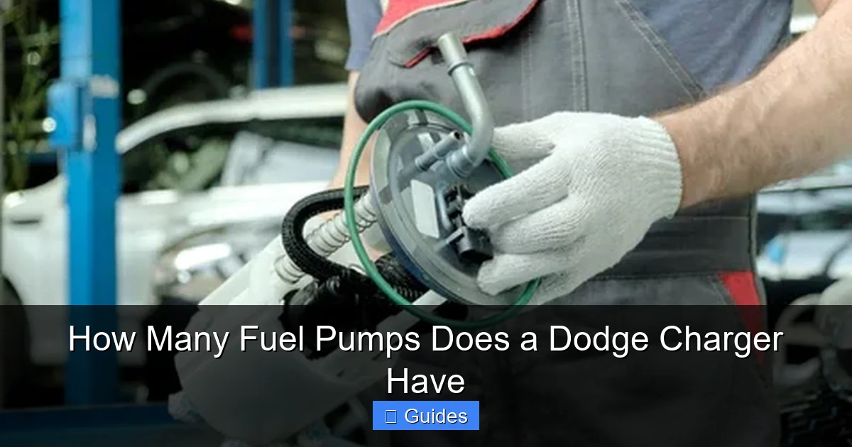How Many Fuel Pumps Does a Dodge Charger Have