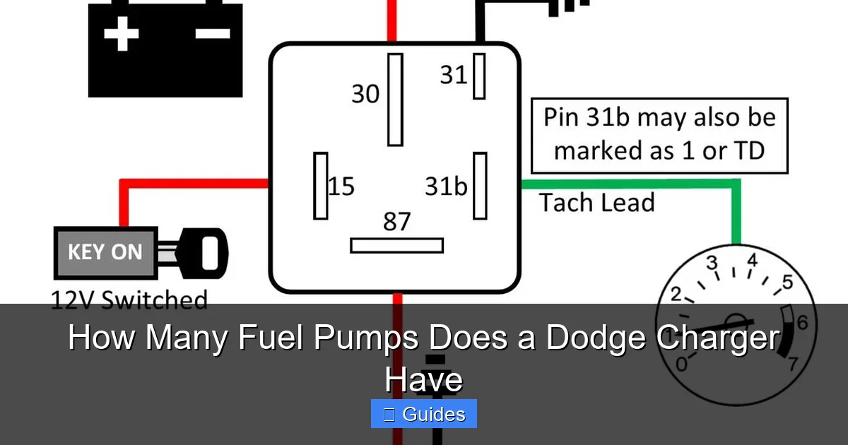 How Many Fuel Pumps Does a Dodge Charger Have