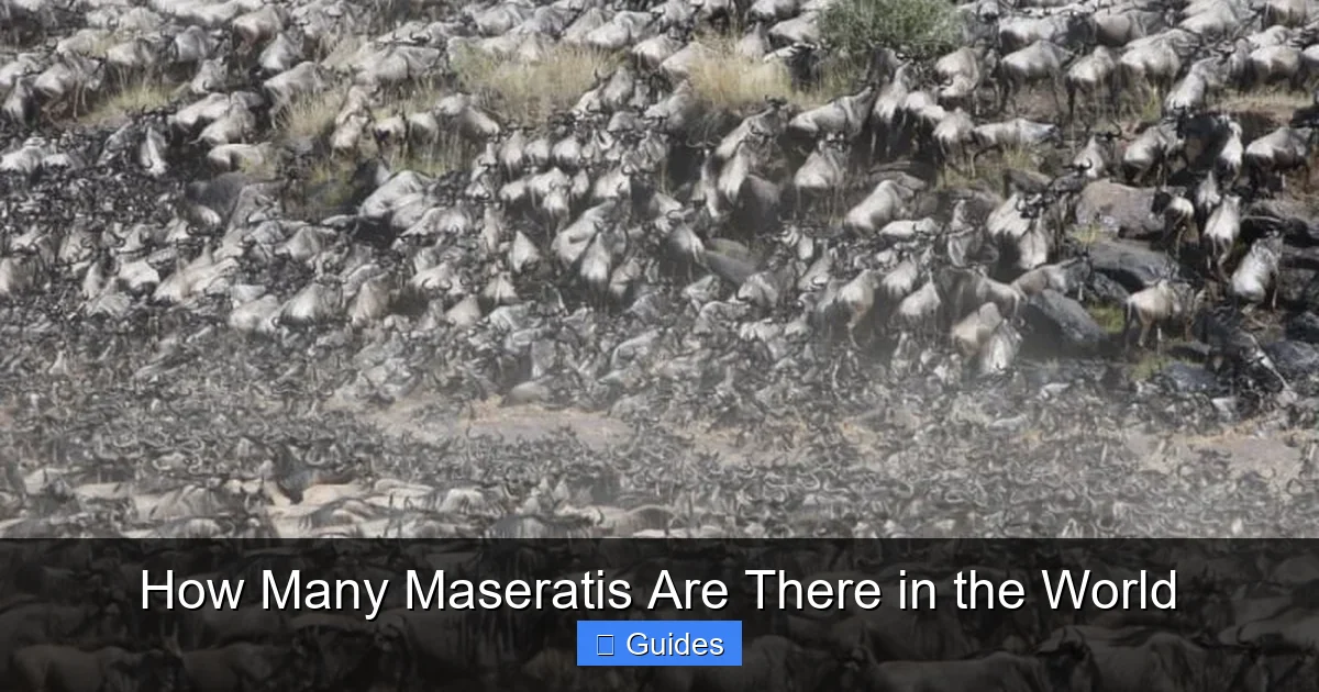 How Many Maseratis Are There in the World