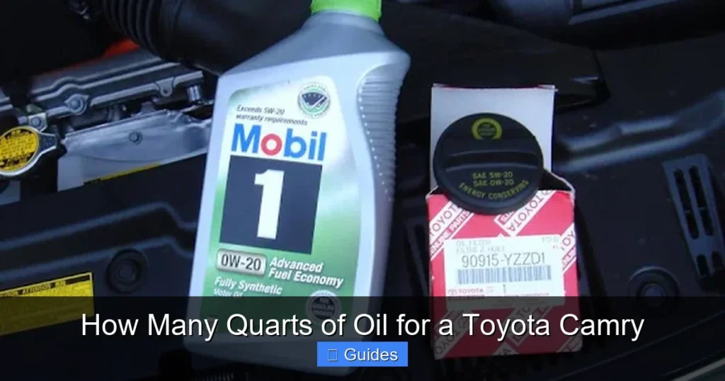 How Many Quarts of Oil for a Toyota Camry
