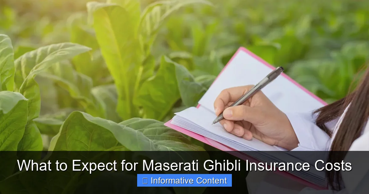 What to Expect for Maserati Ghibli Insurance Costs