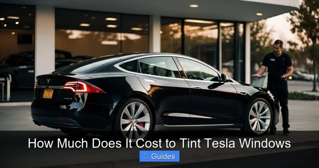 How Much Does It Cost to Tint Tesla Windows