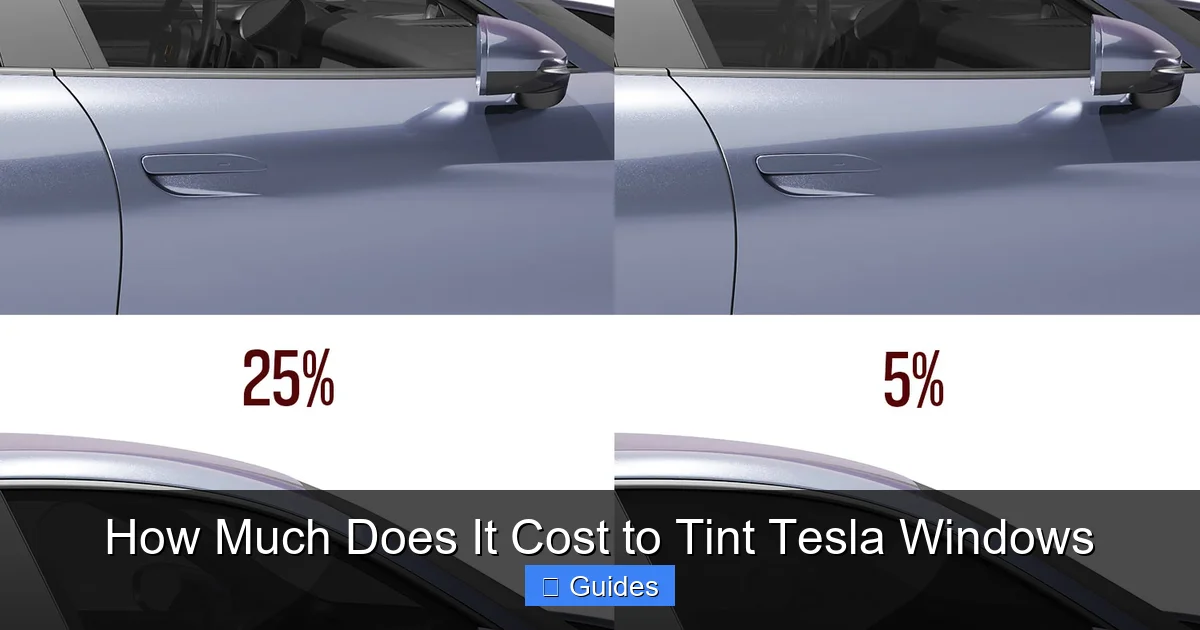 How Much Does It Cost to Tint Tesla Windows