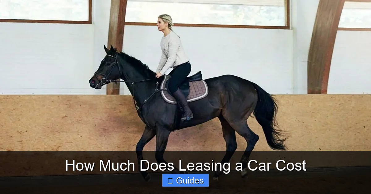 How Much Does Leasing a Car Cost