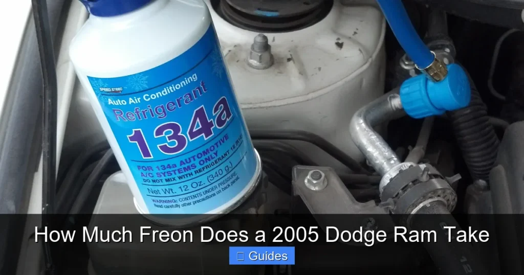 How Much Freon Does a 2005 Dodge Ram Take
