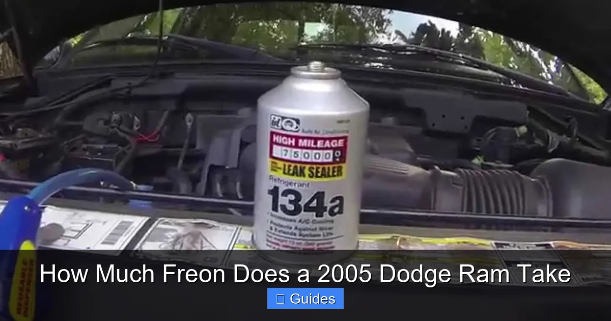 How Much Freon Does a 2005 Dodge Ram Take