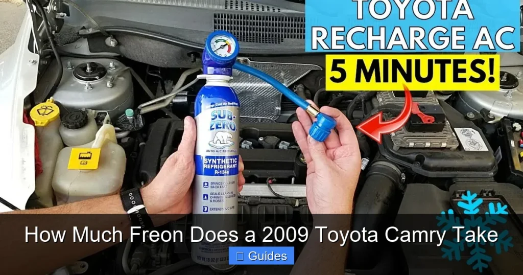 How Much Freon Does a 2009 Toyota Camry Take
