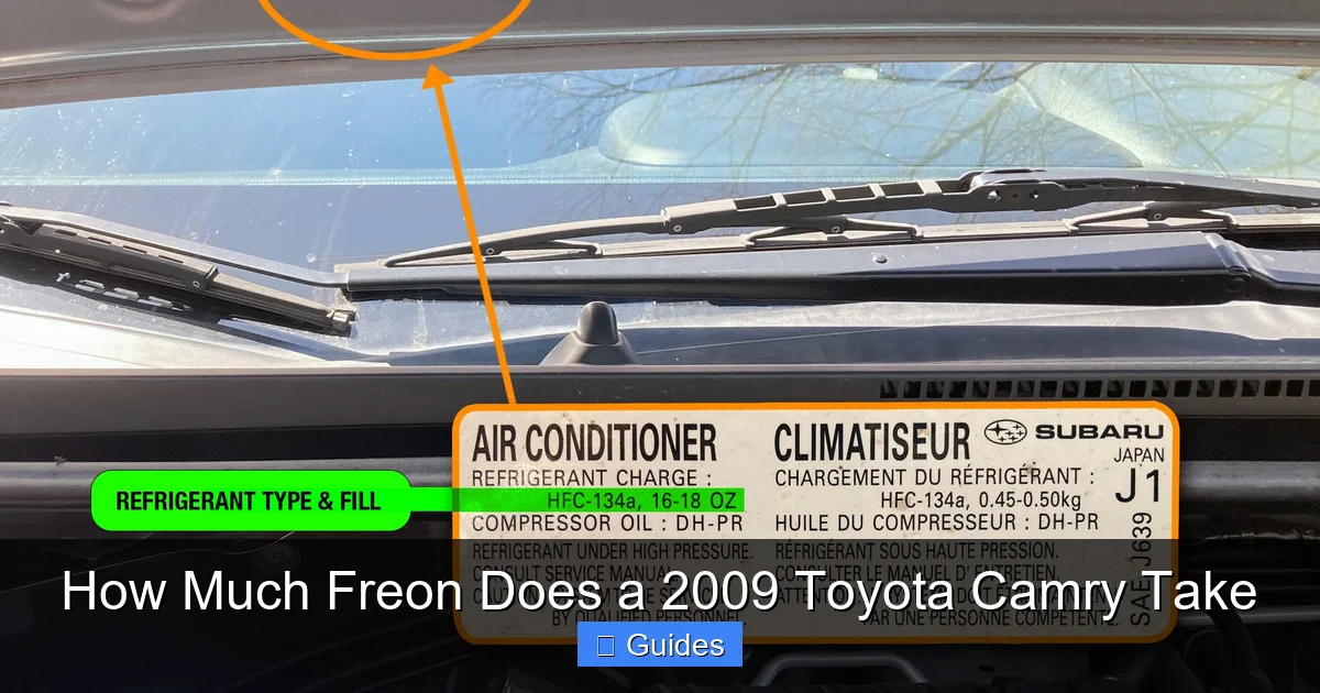 How Much Freon Does a 2009 Toyota Camry Take