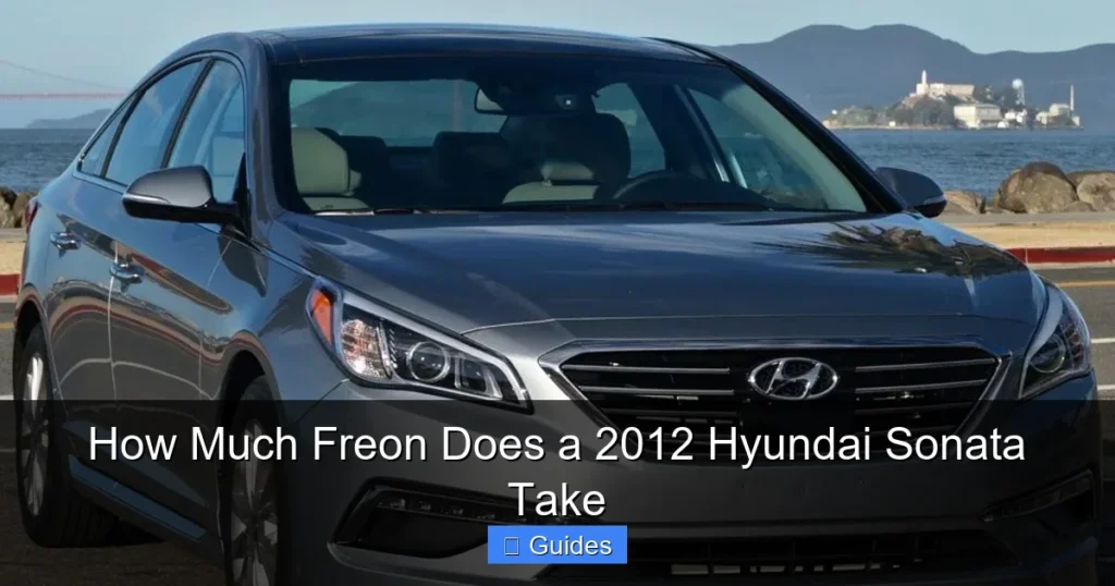 How Much Freon Does a 2012 Hyundai Sonata Take