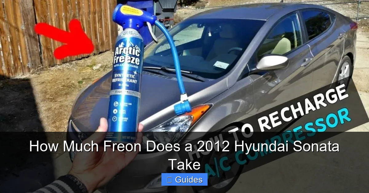 How Much Freon Does a 2012 Hyundai Sonata Take