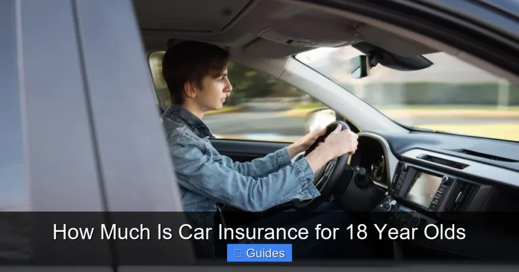 How Much Is Car Insurance for 18 Year Olds