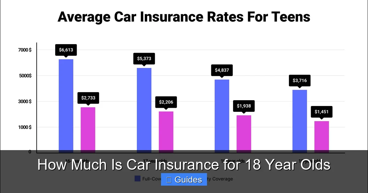 How Much Is Car Insurance for 18 Year Olds