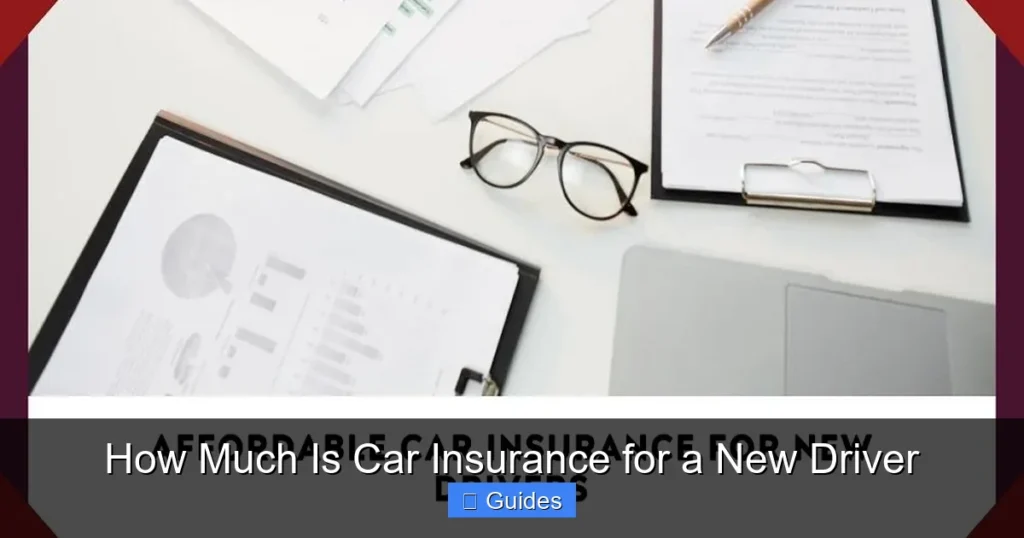 How Much Is Car Insurance for a New Driver