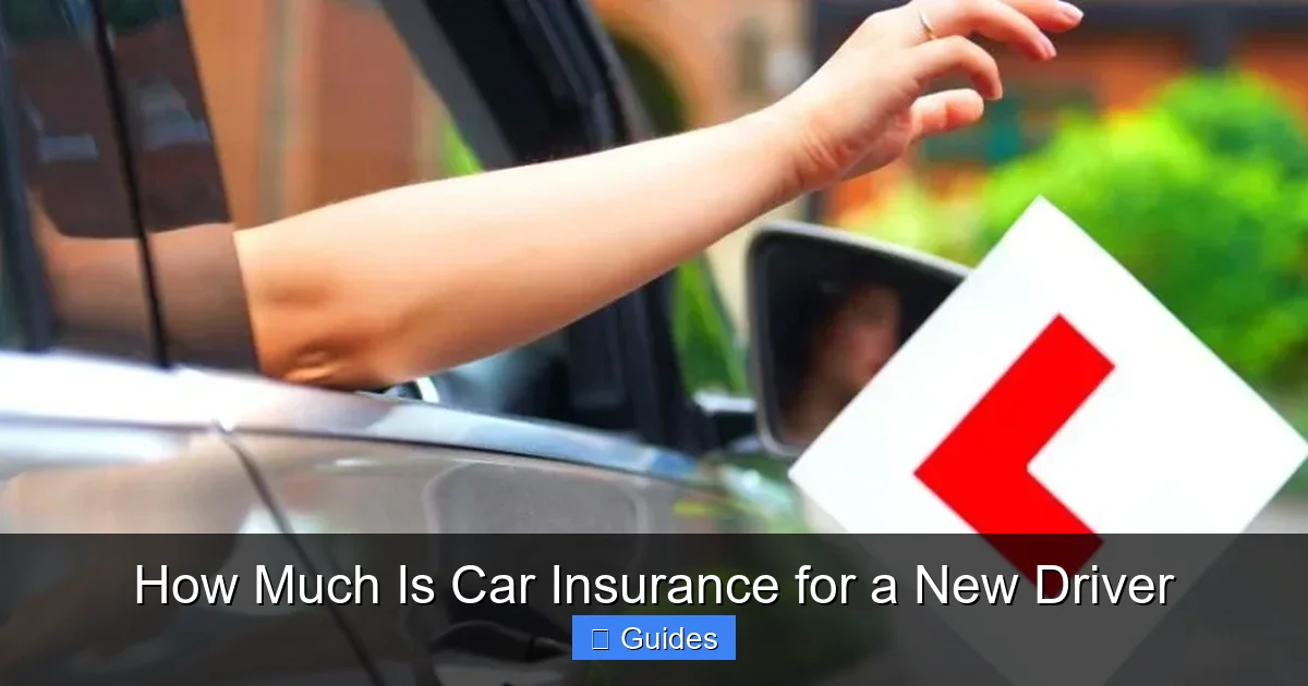 How Much Is Car Insurance for a New Driver