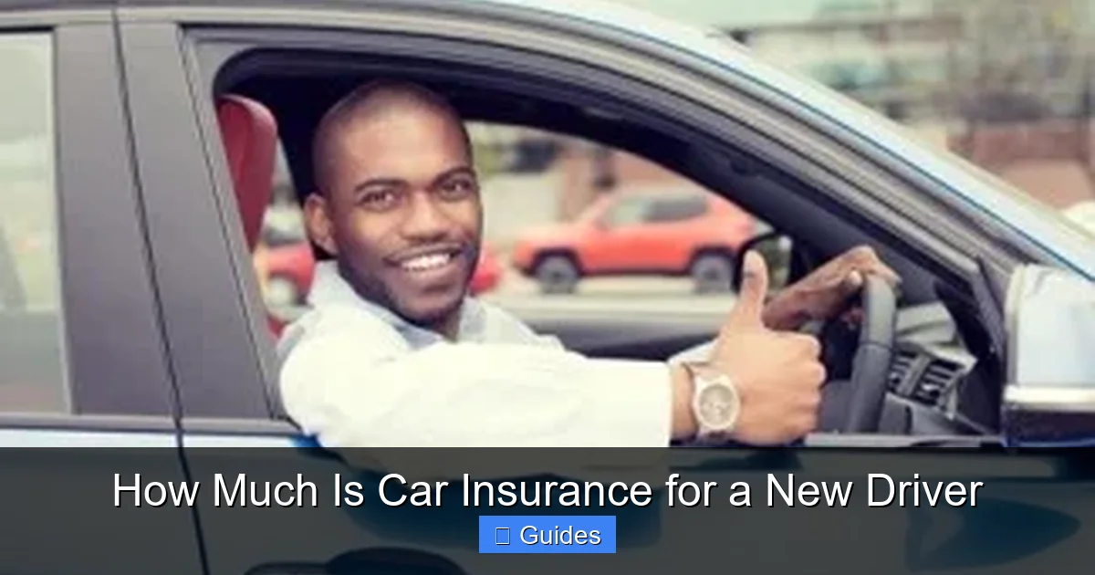 How Much Is Car Insurance for a New Driver