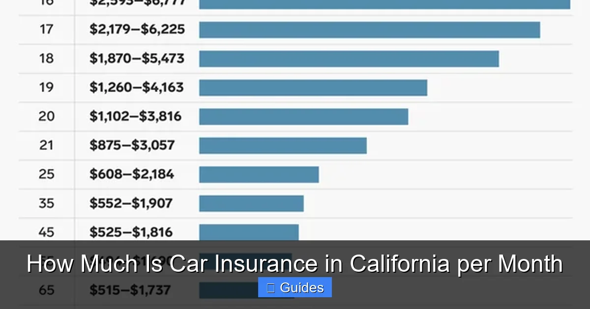 How Much Is Car Insurance in California per Month