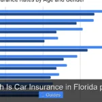 How Much Is Car Insurance in Florida per Month