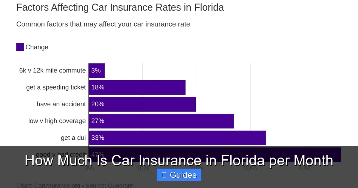 How Much Is Car Insurance in Florida per Month