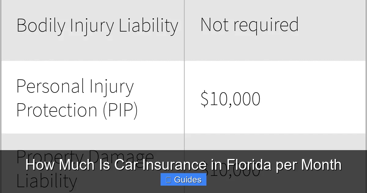 How Much Is Car Insurance in Florida per Month