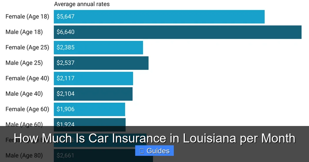 How Much Is Car Insurance in Louisiana per Month
