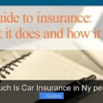 How Much Is Car Insurance in Ny per Month