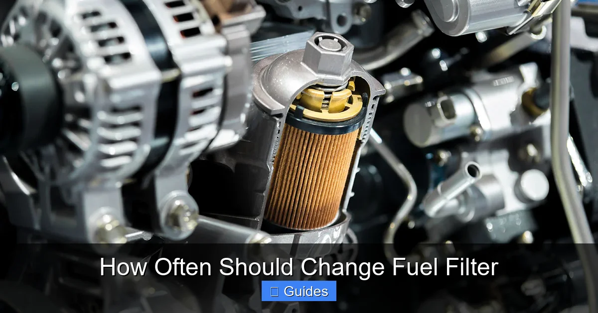 How Often Should Change Fuel Filter