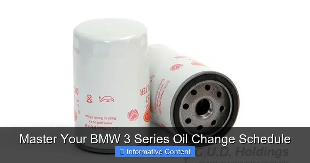 Master Your BMW 3 Series Oil Change Schedule