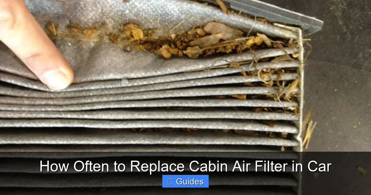How Often to Replace Cabin Air Filter in Car
