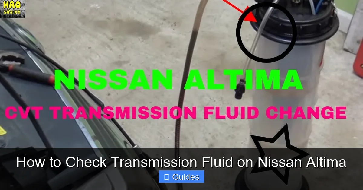 How to Check Transmission Fluid on Nissan Altima
