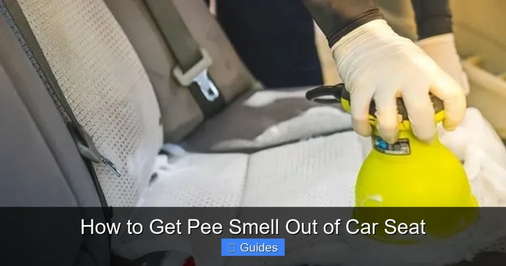 How to Get Pee Smell Out of Car Seat