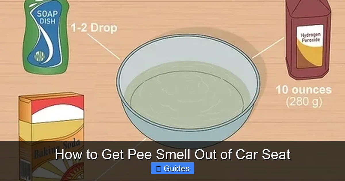 How to Get Pee Smell Out of Car Seat
