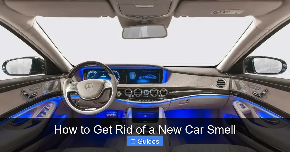 How to Get Rid of a New Car Smell