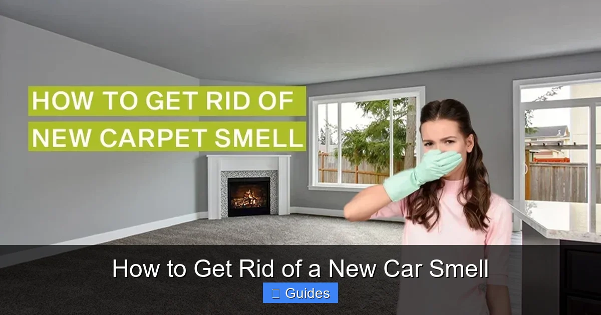 How to Get Rid of a New Car Smell