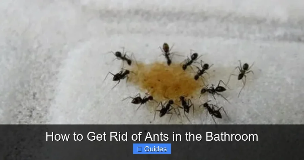 How to Get Rid of Ants in the Bathroom