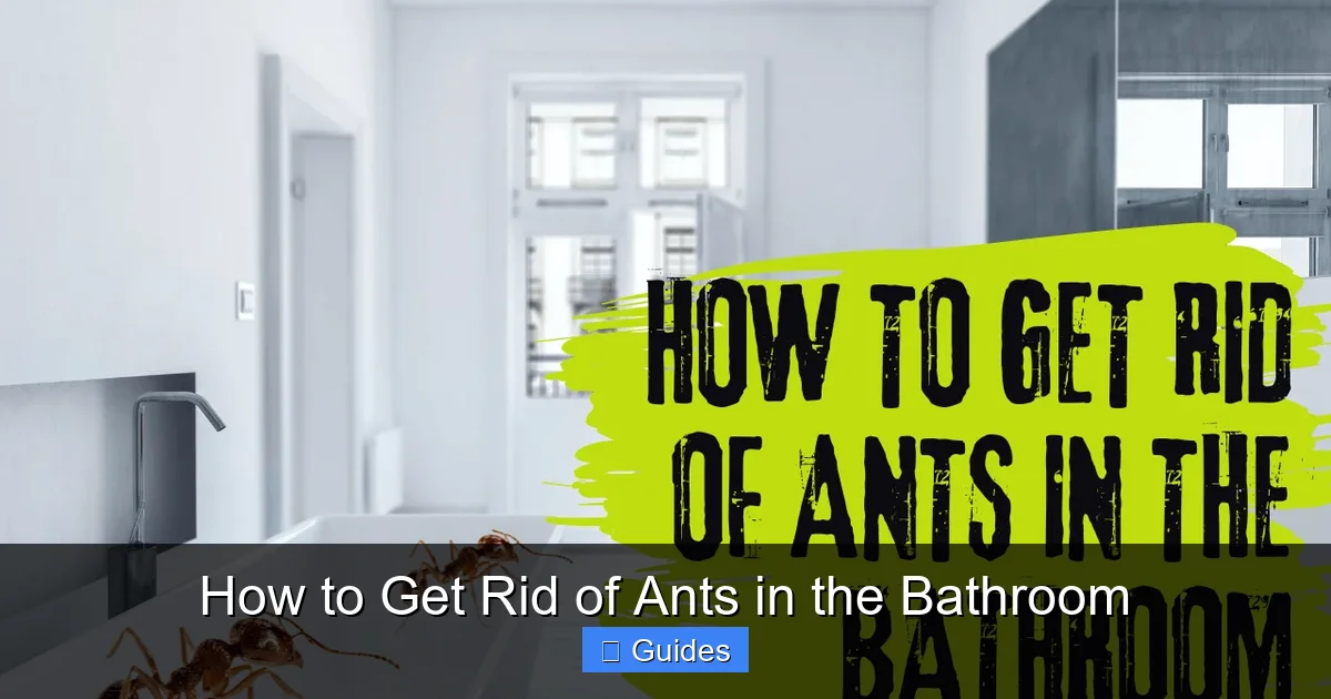 How to Get Rid of Ants in the Bathroom