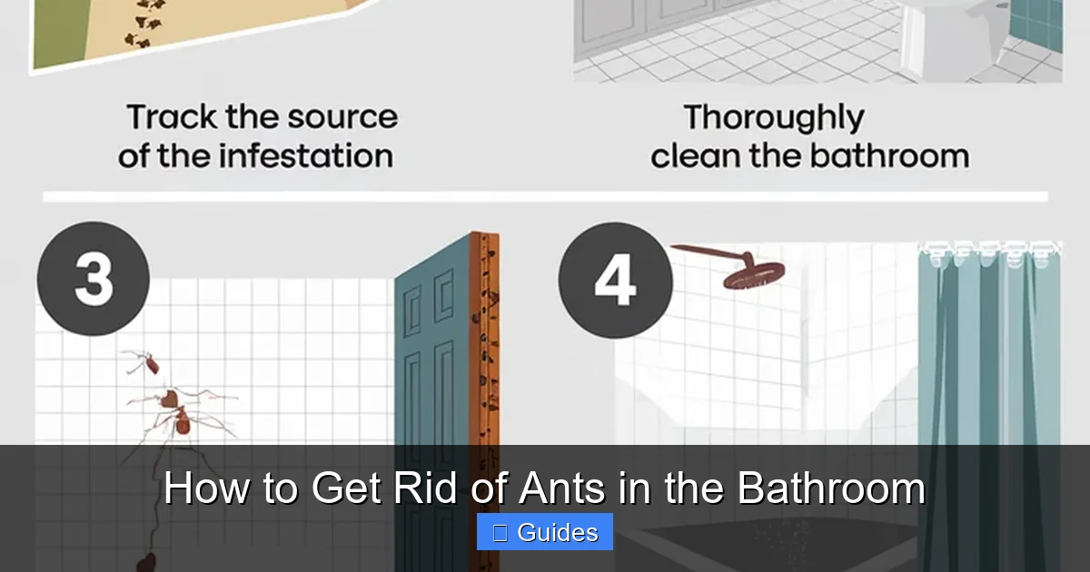 How to Get Rid of Ants in the Bathroom