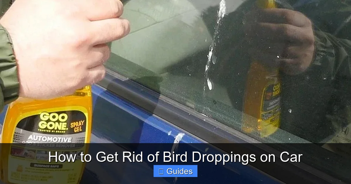 How to Get Rid of Bird Droppings on Car