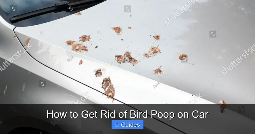 How to Get Rid of Bird Poop on Car