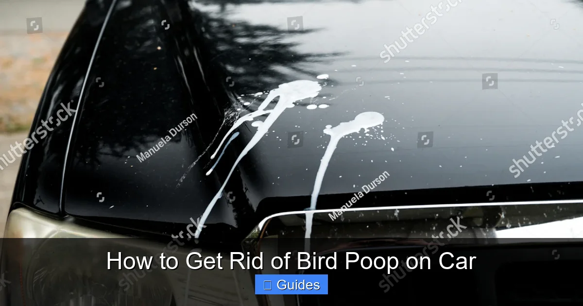 How to Get Rid of Bird Poop on Car