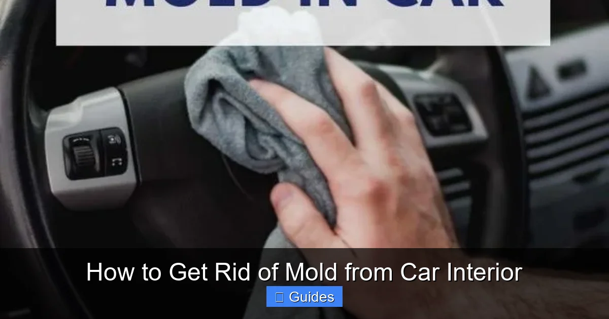 How to Get Rid of Mold from Car Interior