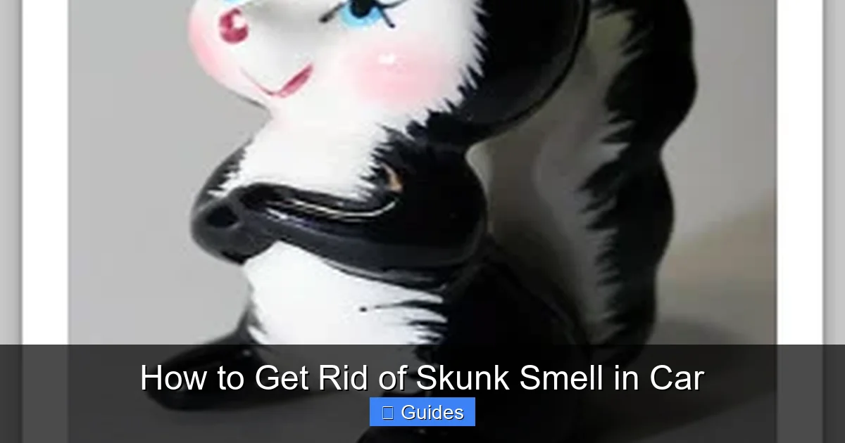 How to Get Rid of Skunk Smell in Car