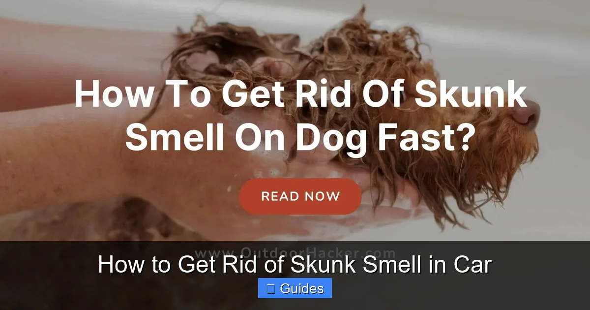 How to Get Rid of Skunk Smell in Car