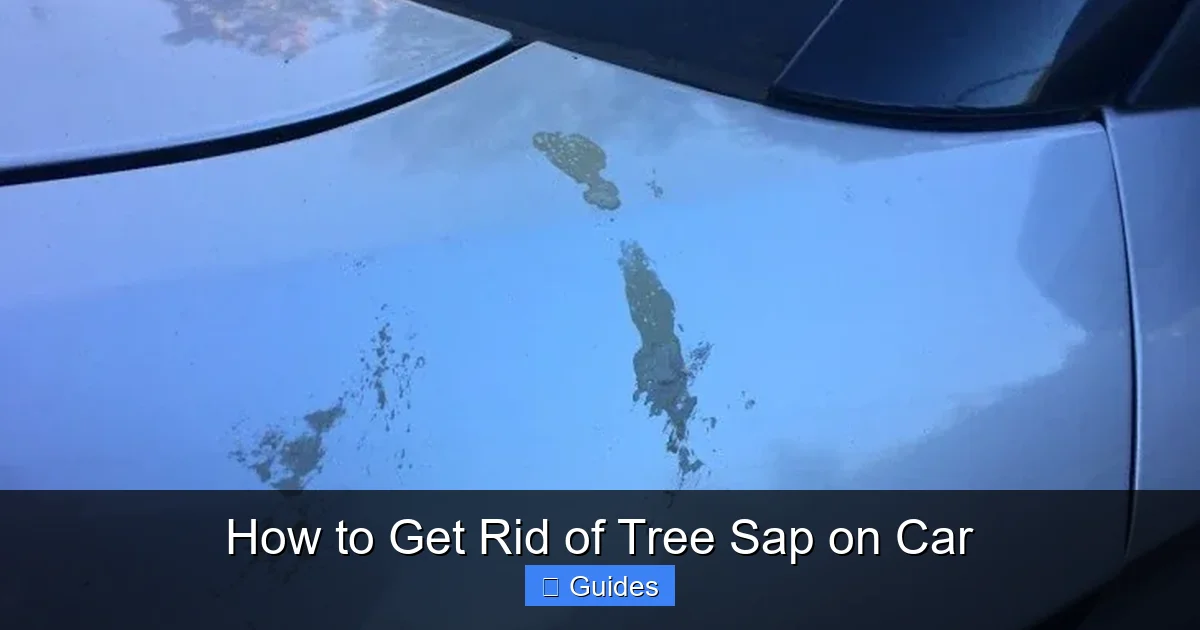 How to Get Rid of Tree Sap on Car